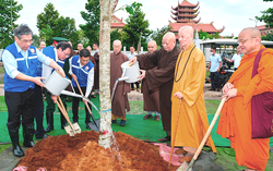 TPHCM: "Vườn cây Đại đoàn kết" hưởng ứng Ngày Môi trường Thế giới