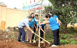 Hội LHPN tỉnh Gia Lai phát động trồng cây hưởng ứng Ngày Môi trường thế giới