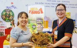 Đà Nẵng phát động Mùa khuyến mại hè 2026 với ưu đãi lên đến 100%