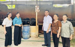 Hội LHPN tỉnh Bắc Ninh kiểm tra, giám sát hoạt động nhận ủy thác nguồn vốn tín dụng chính sách