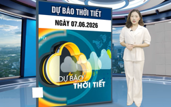 Bản tin thời tiết ngày 7/6: Bắc Bộ tiếp tục nắng nóng 37 độ, vùng núi về đêm đề phòng mưa lớn