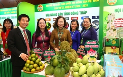 Tinh hoa nông sản vùng miền hội tụ tại Đại hội Hội Nông dân Việt Nam lần thứ IX