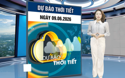 Bản tin thời tiết ngày 9/6: Không khí lạnh gây mưa dông diện rộng, nhiều nơi ở Bắc Bộ mưa rất to