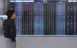 Cổ phiếu vốn hóa lớn đồng loạt giảm sâu, VN-Index lao dốc gần 50 điểm