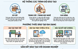 Tăng kết nối với doanh nghiệp để đào tạo nghề gắn với thực tiễn sản xuất