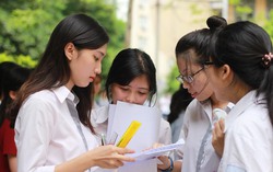Điểm thi tốt nghiệp THPT 2026: Ninh Bình đứng đầu bảng điểm thi môn Toán cao nhất nước