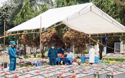 Gia Lai khoanh vùng khu vực nghi có hố chôn liệt sỹ tại di tích Cấm An Sơn