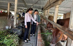 Đồng vốn chính sách vun đắp những mùa no ấm trên vùng đất Gia Lai