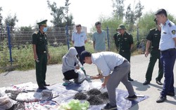 Hải Phòng: Bắt giữ 116 vụ với 156 đối tượng vi phạm về buôn lậu