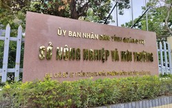 Đề xuất xây Nhà máy Xi măng Bạch Đằng quy mô nghìn tỷ: Sự thận trọng cần thiết