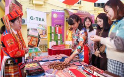 Số lượng hợp tác xã và lao động giảm, xu hướng "tinh gọn để hiệu quả"