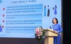 Phát động Cuộc thi Tiểu phẩm truyền thông "Phụ nữ với phòng, chống tác hại của thuốc lá" năm 2026