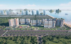 Quảng Ninh: Phát triển quỹ nhà ở cho thuê nhằm từng bước đáp ứng nhu cầu nhà ở của người dân