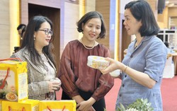 Hỗ trợ phụ nữ khởi nghiệp, phát triển sinh kế thích ứng với biến đổi khí hậu