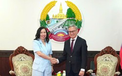 Vietnam, Laos strengthen cooperation on overseas community affairs