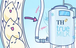 Hành trình khép kín hoàn hảo của giọt sữa tươi sạch TH true MILK