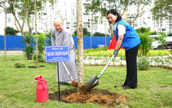 TPHCM triển khai nhiều hoạt động, hướng đến một thành phố phát triển bền vững