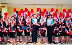 Phụ nữ Quảng Ninh triển khai nhiều công trình, phần việc với tổng trị giá trên 3 tỷ đồng