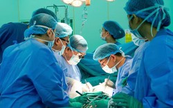 Cô gái hiến tạng hồi sinh nhiều cuộc đời