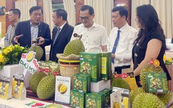 Lễ hội Sầu riêng Đắk Lắk 2026 sẽ diễn ra trong hơn nửa tháng