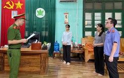 Bắt nữ Chủ tịch HĐQT công ty sản xuất 65 tấn phân bón giả