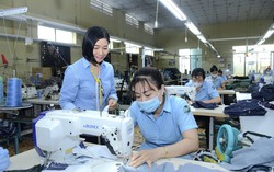 Đẩy mạnh phong trào "Lao động giỏi, lao động sáng tạo" ở Quân khu 7