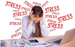 Áp lực công việc đeo bám