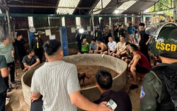 Lạng Sơn: Bắt quả tang 21 đối tượng tham gia cá cược đá gà quy mô lớn