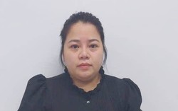 Lừa góp vốn kinh doanh, người phụ nữ chiếm đoạt hơn 10 tỷ đồng