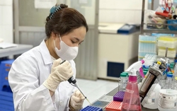 Bộ GD-ĐT ban hành quy định về sử dụng AI trong đào tạo, nghiên cứu khoa học