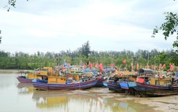 Các địa phương khẩn trương ứng phó bão số 1, bảo vệ người dân vùng nguy hiểm