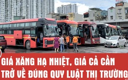 Giá xăng dầu "hạ nhiệt", vì sao giá cả nhiều hàng hóa, dịch vụ chưa giảm?