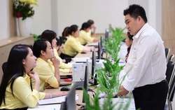 Các trường hợp được xét tuyển, ưu tiên và tiếp nhận vào viên chức