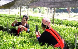 Bình đẳng giới nhìn từ kỹ năng an toàn số
