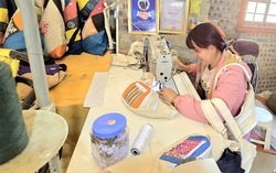 Hành trình chuyển đổi mô hình sản xuất kinh doanh của HTX do phụ nữ tham gia quản lý: Từ đổi mới sản xuất đến tạo việc làm bền vững