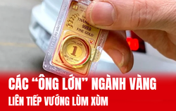 Các "ông lớn" ngành vàng liên tiếp vướng lùm xùm
