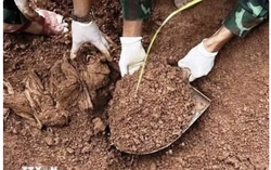 Thủ tướng yêu cầu đẩy mạnh tìm kiếm, quy tập, xác định danh tính hài cốt liệt sỹ