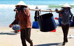 Sửa Luật Tài nguyên, môi trường biển và hải đảo: Cần đảm bảo không gian sinh kế cho phụ nữ ven biển