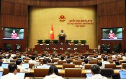 Quốc hội thảo luận dự thảo Luật sửa đổi, bổ sung một số điều của Luật Người lao động Việt Nam đi làm việc ở nước ngoài theo hợp đồng