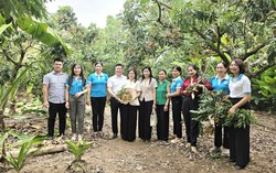 Hội LHPN Hưng Yên hỗ trợ phụ nữ sử dụng hiệu quả vốn vay phát triển kinh tế