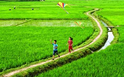 Kỳ nghỉ hè không điện thoại