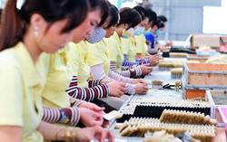 Tăng trưởng kinh tế có đi cùng chất lượng việc làm của lao động nữ?