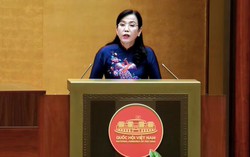 Quốc hội thảo luận về việc sửa đổi Luật Viễn thông, Luật Giao dịch điện tử
