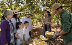 Lễ hội Sầu riêng Đắk Lắk 2026: Từ trái ngọt cao nguyên đến hành trình nâng tầm sinh kế