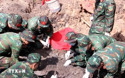 Quyết tâm hoàn thành quy tập hài cốt liệt sỹ tại công viên Lê Thị Riêng trước tháng 11/2026