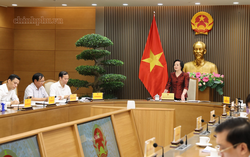 Thúc đẩy hệ sinh thái "kinh tế bạc", bảo vệ người cao tuổi trên không gian mạng