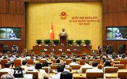 Quốc hội tiếp tục họp đợt 2 Kỳ họp không thường lệ, thảo luận nhiều dự án luật và nghị quyết
