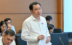 Đại biểu Quốc hội đề nghị bảo đảm nguồn lực cho bình đẳng giới và phát triển con người