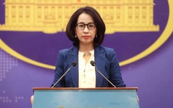 Việt Nam kiên quyết ngăn chặn gian lận xuất xứ và trung chuyển hàng hóa bất hợp pháp