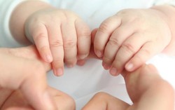Hoàn thiện dự án Luật Nuôi con nuôi (sửa đổi)